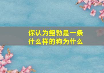 你认为鲍勃是一条什么样的狗为什么