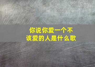 你说你爱一个不该爱的人是什么歌