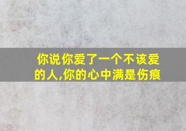 你说你爱了一个不该爱的人,你的心中满是伤痕