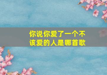 你说你爱了一个不该爱的人是哪首歌