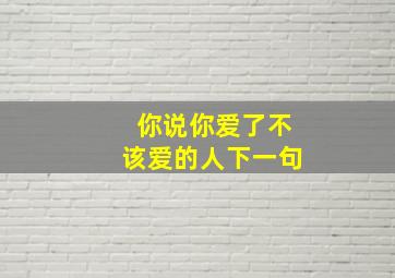 你说你爱了不该爱的人下一句