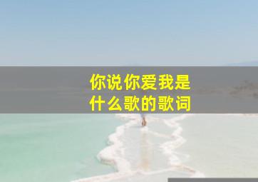 你说你爱我是什么歌的歌词