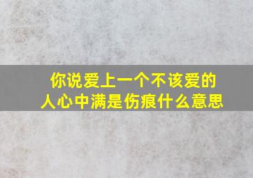 你说爱上一个不该爱的人心中满是伤痕什么意思