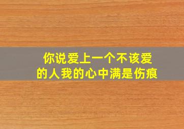 你说爱上一个不该爱的人我的心中满是伤痕