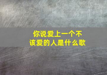 你说爱上一个不该爱的人是什么歌