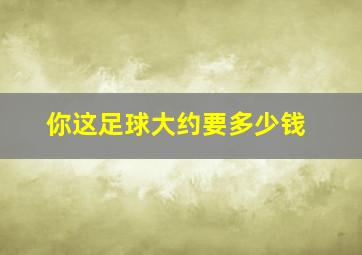 你这足球大约要多少钱