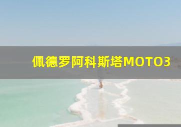 佩德罗阿科斯塔MOTO3