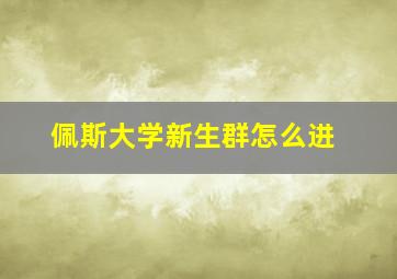 佩斯大学新生群怎么进