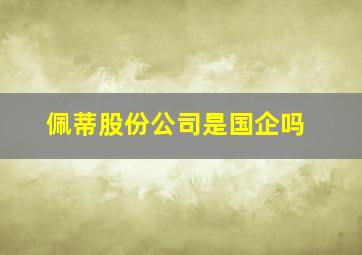 佩蒂股份公司是国企吗