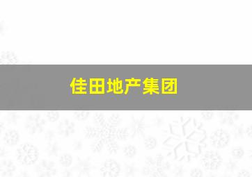 佳田地产集团