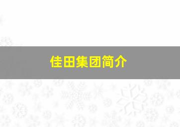 佳田集团简介