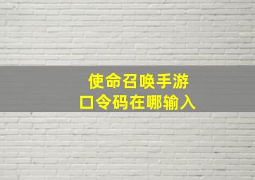 使命召唤手游口令码在哪输入