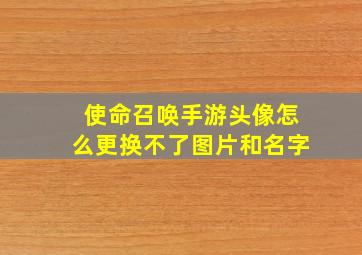 使命召唤手游头像怎么更换不了图片和名字