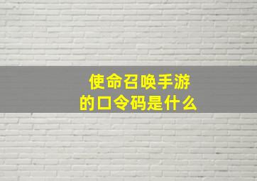 使命召唤手游的口令码是什么