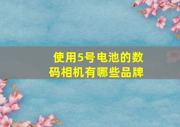 使用5号电池的数码相机有哪些品牌