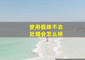 使用假牌不去处理会怎么样