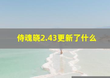 侍魂晓2.43更新了什么