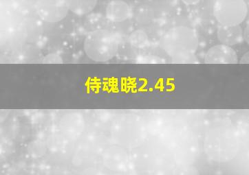 侍魂晓2.45