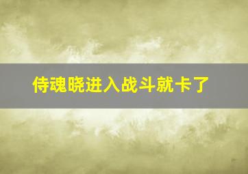 侍魂晓进入战斗就卡了