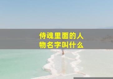 侍魂里面的人物名字叫什么