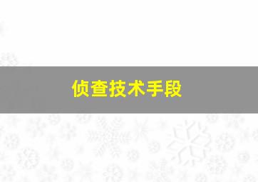 侦查技术手段