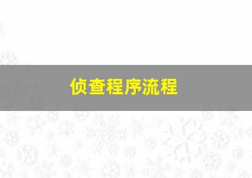 侦查程序流程