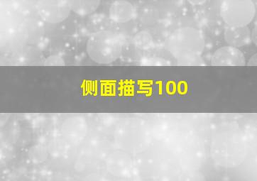 侧面描写100