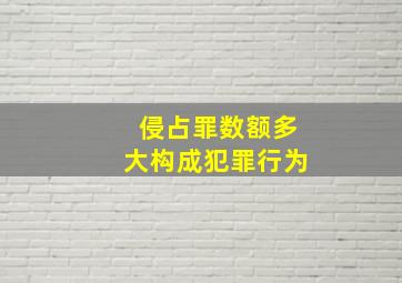 侵占罪数额多大构成犯罪行为