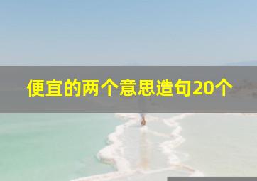 便宜的两个意思造句20个