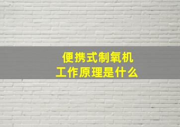 便携式制氧机工作原理是什么