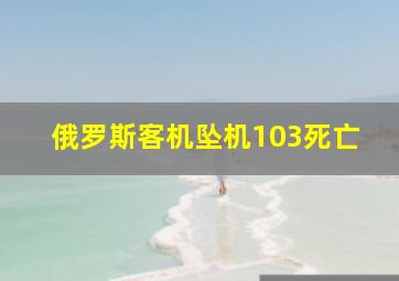 俄罗斯客机坠机103死亡