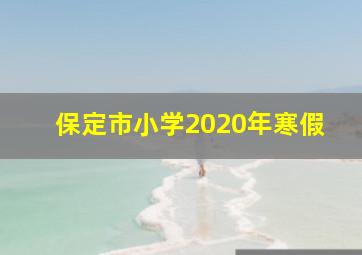 保定市小学2020年寒假