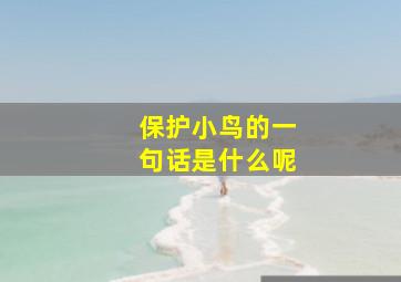 保护小鸟的一句话是什么呢