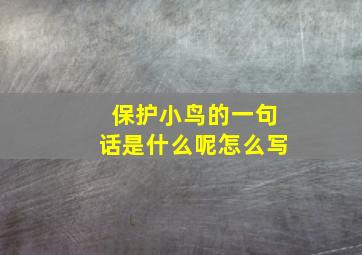 保护小鸟的一句话是什么呢怎么写