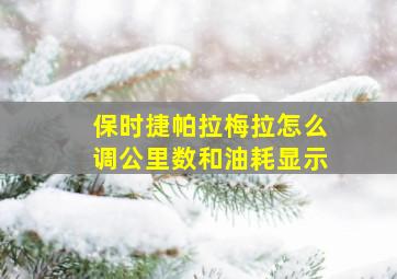 保时捷帕拉梅拉怎么调公里数和油耗显示