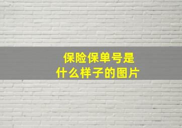 保险保单号是什么样子的图片