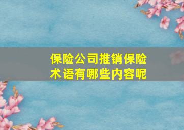 保险公司推销保险术语有哪些内容呢