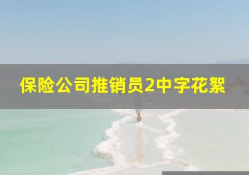 保险公司推销员2中字花絮