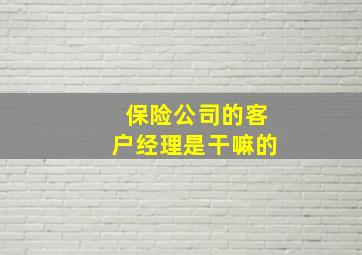 保险公司的客户经理是干嘛的