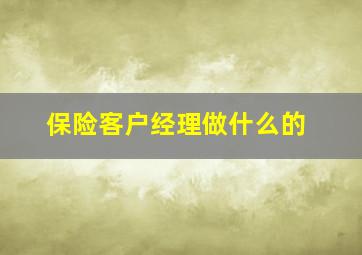 保险客户经理做什么的