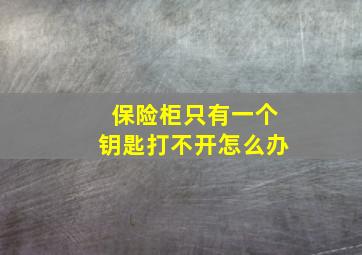 保险柜只有一个钥匙打不开怎么办