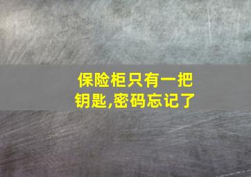 保险柜只有一把钥匙,密码忘记了