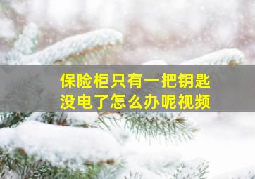 保险柜只有一把钥匙没电了怎么办呢视频