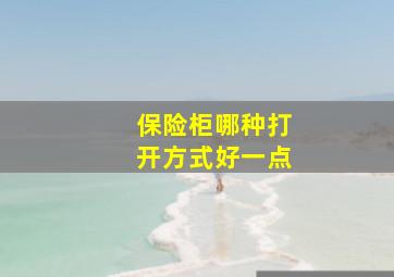 保险柜哪种打开方式好一点