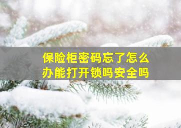 保险柜密码忘了怎么办能打开锁吗安全吗