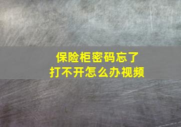 保险柜密码忘了打不开怎么办视频