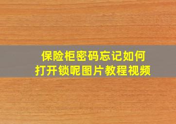 保险柜密码忘记如何打开锁呢图片教程视频