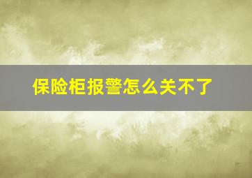 保险柜报警怎么关不了