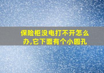 保险柜没电打不开怎么办,它下面有个小圆孔