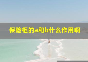 保险柜的a和b什么作用啊